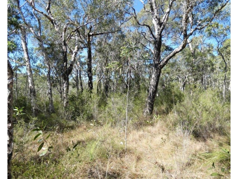 Lot 11 Fernfield Road, Deepwater QLD 4674