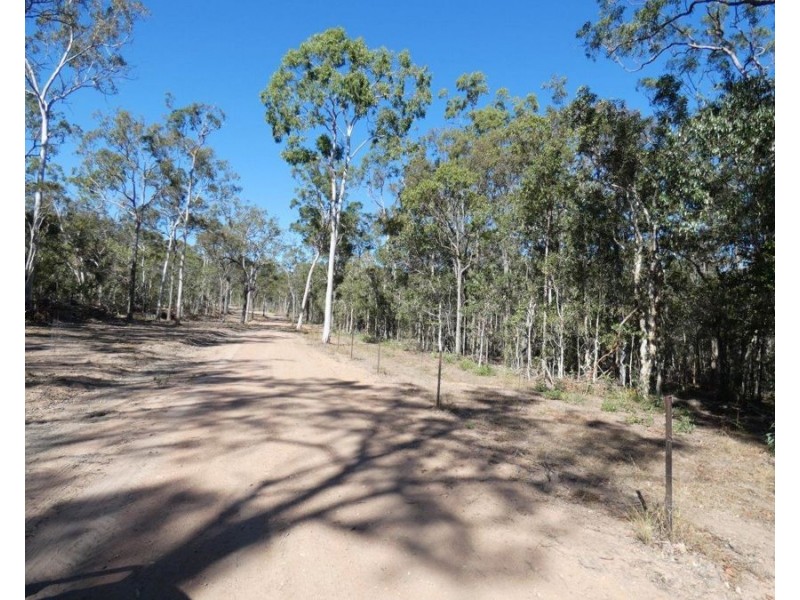 255 Mollenhagens Road, Winfield QLD 4670