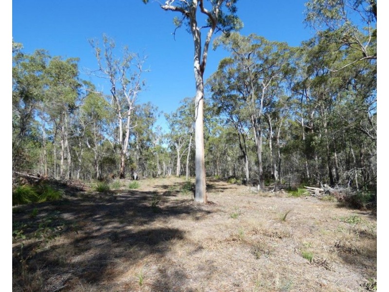 255 Mollenhagens Road, Winfield QLD 4670