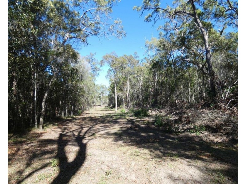 255 Mollenhagens Road, Winfield QLD 4670
