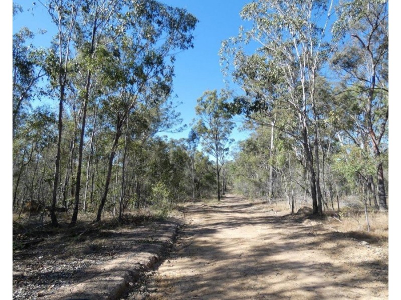 255 Mollenhagens Road, Winfield QLD 4670