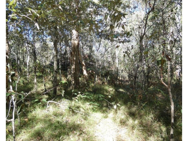 255 Mollenhagens Road, Winfield QLD 4670