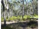 255 Mollenhagens Road, Winfield QLD 4670
