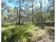 255 Mollenhagens Road, Winfield QLD 4670