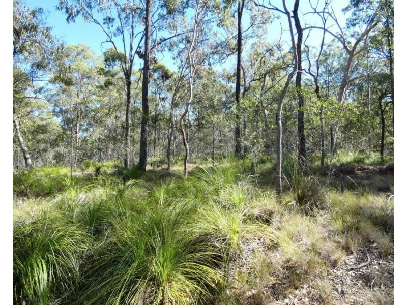 255 Mollenhagens Road, Winfield QLD 4670