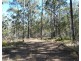 255 Mollenhagens Road, Winfield QLD 4670