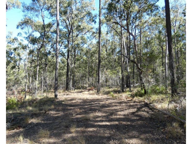 255 Mollenhagens Road, Winfield QLD 4670