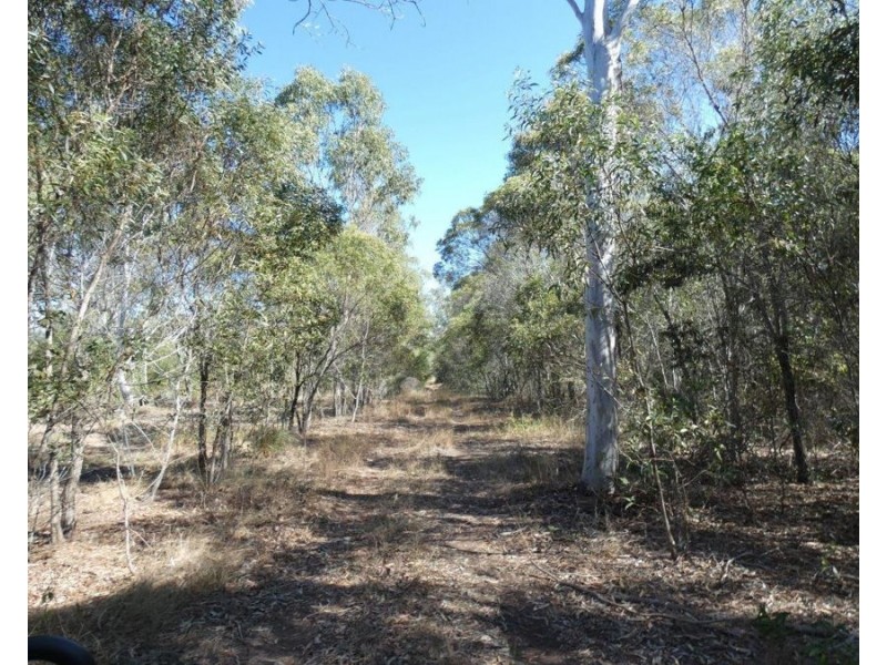 343 Oyster Creek Road, Oyster Creek QLD 4674
