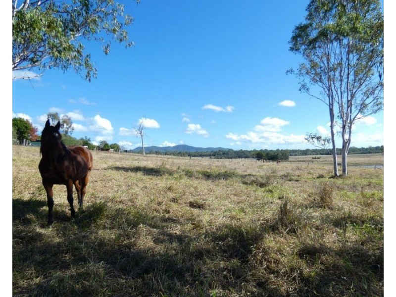 208 Stegemans Road, Rosedale QLD 4674