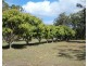 328 Matchbox Road, Deepwater QLD 4674