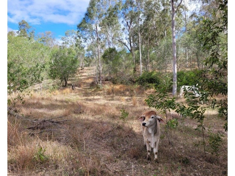 183 Dawsons Road, Berajondo QLD 4674