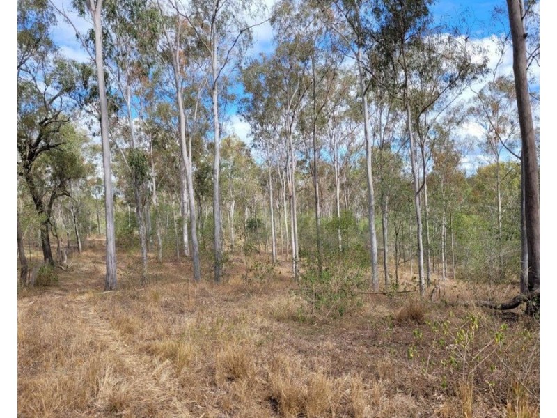 183 Dawsons Road, Berajondo QLD 4674