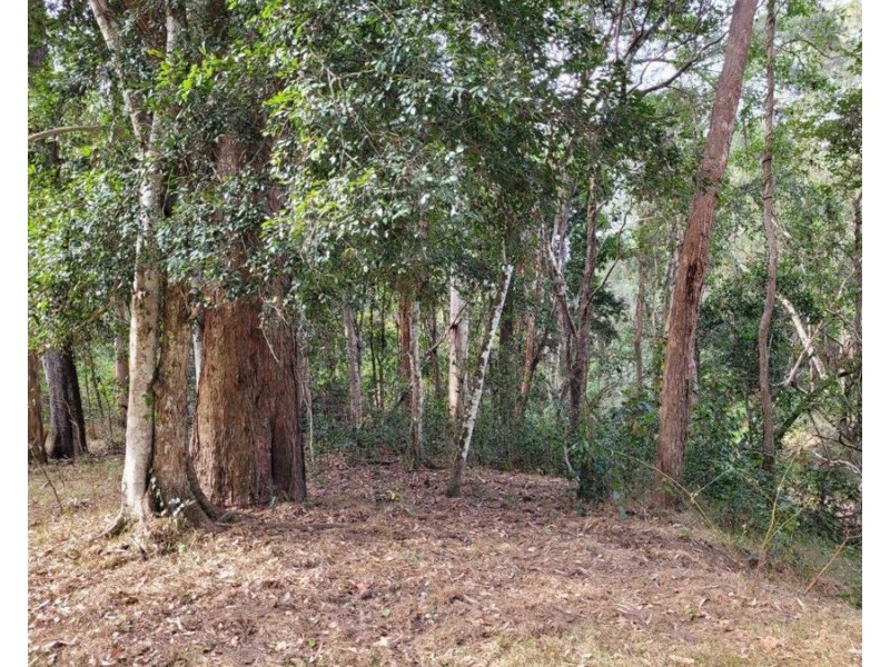 183 Dawsons Road, Berajondo QLD 4674