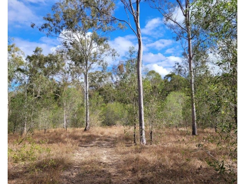 183 Dawsons Road, Berajondo QLD 4674