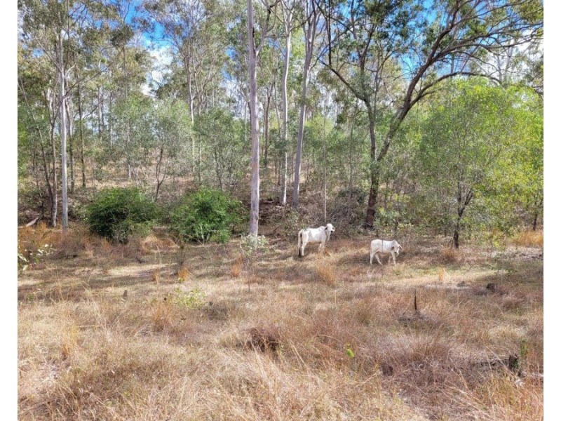 183 Dawsons Road, Berajondo QLD 4674