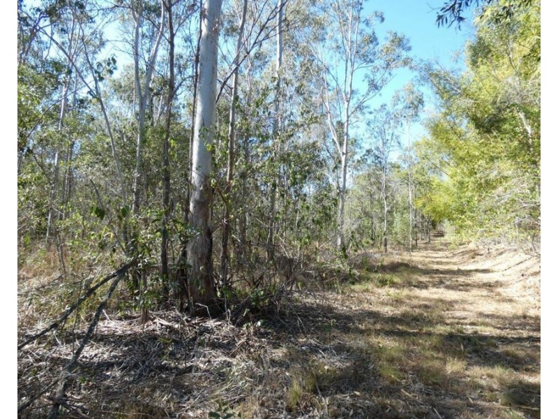 17 Denny Court, Yandaran QLD 4673
