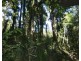 3597 Lowmead Road, Lowmead QLD 4676