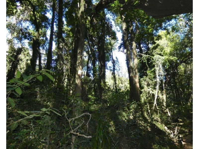 3597 Lowmead Road, Lowmead QLD 4676