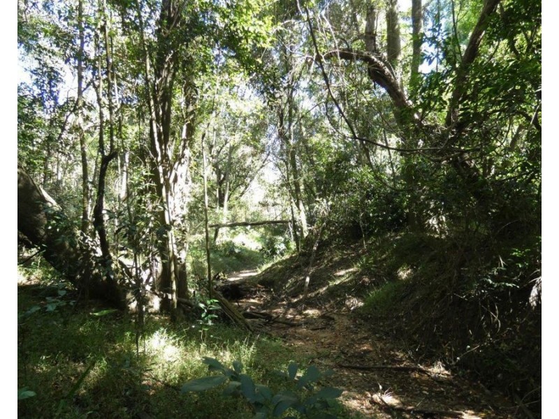 3597 Lowmead Road, Lowmead QLD 4676