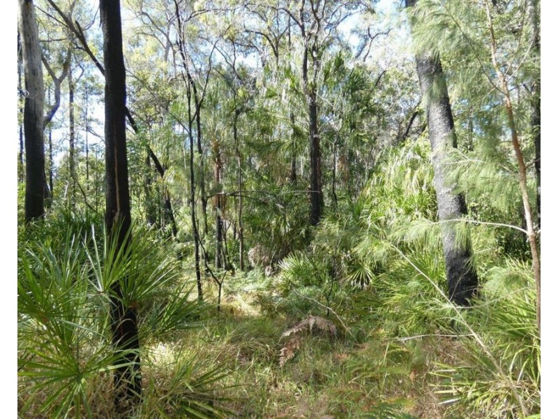 3597 Lowmead Road, Lowmead QLD 4676