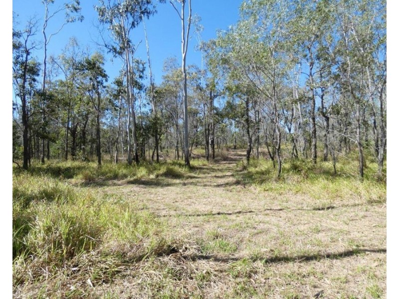 3597 Lowmead Road, Lowmead QLD 4676