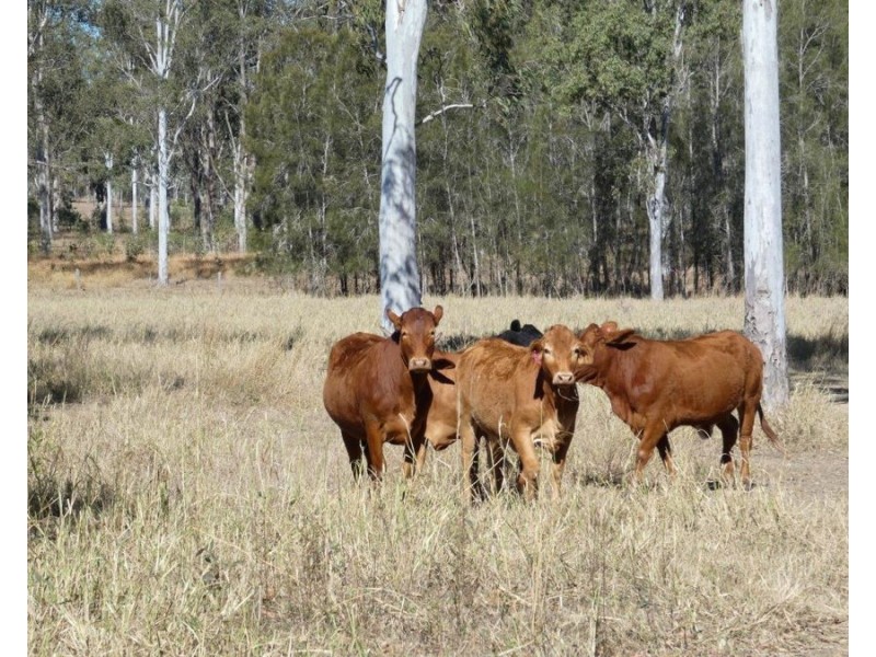 18 Bischoffs Road, Euleilah QLD 4674