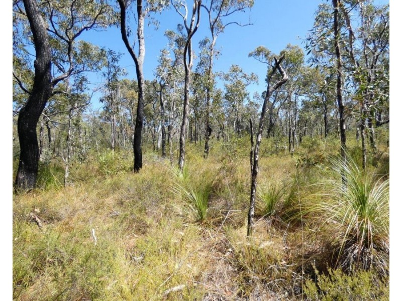 Lot 178 Oceania Court, Deepwater QLD 4674