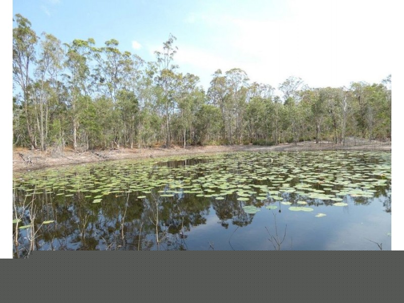122 Muller Road, Baffle Creek QLD 4674