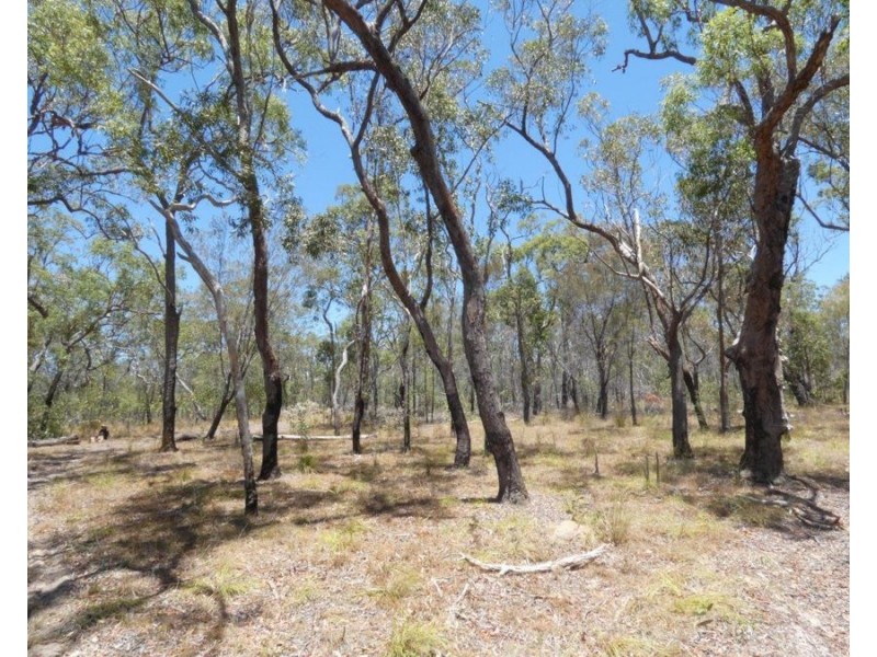 244 Pacific Drive, Deepwater QLD 4674