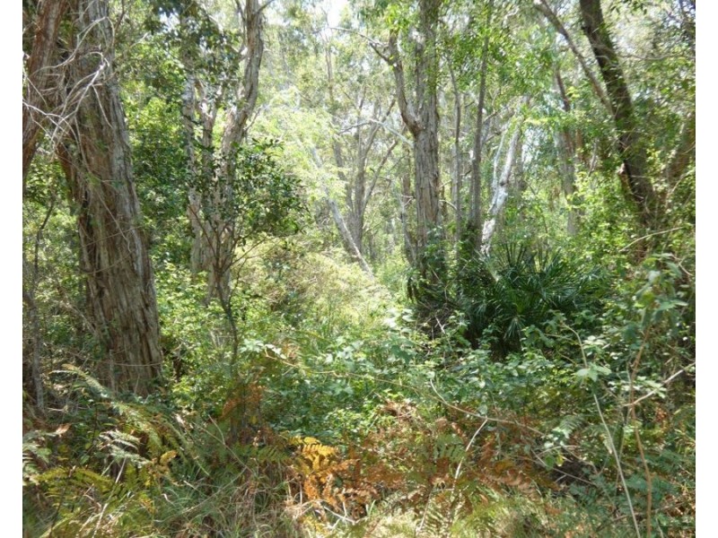 614 Fingerfield Road, Deepwater QLD 4674