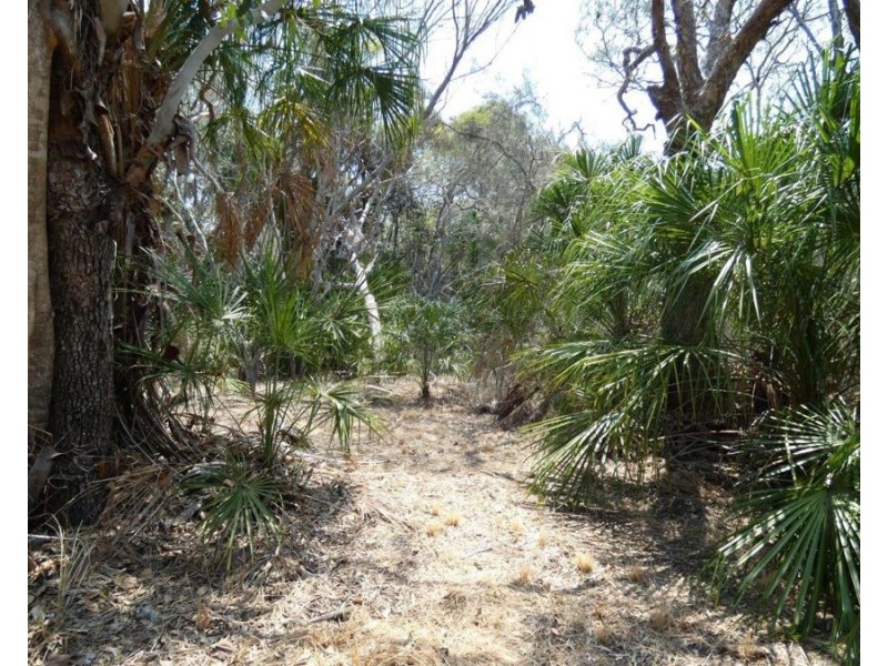 614 Fingerfield Road, Deepwater QLD 4674