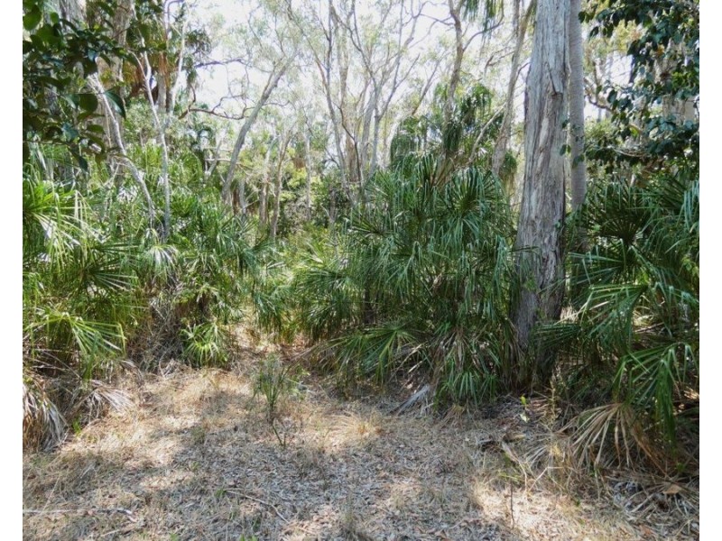 614 Fingerfield Road, Deepwater QLD 4674