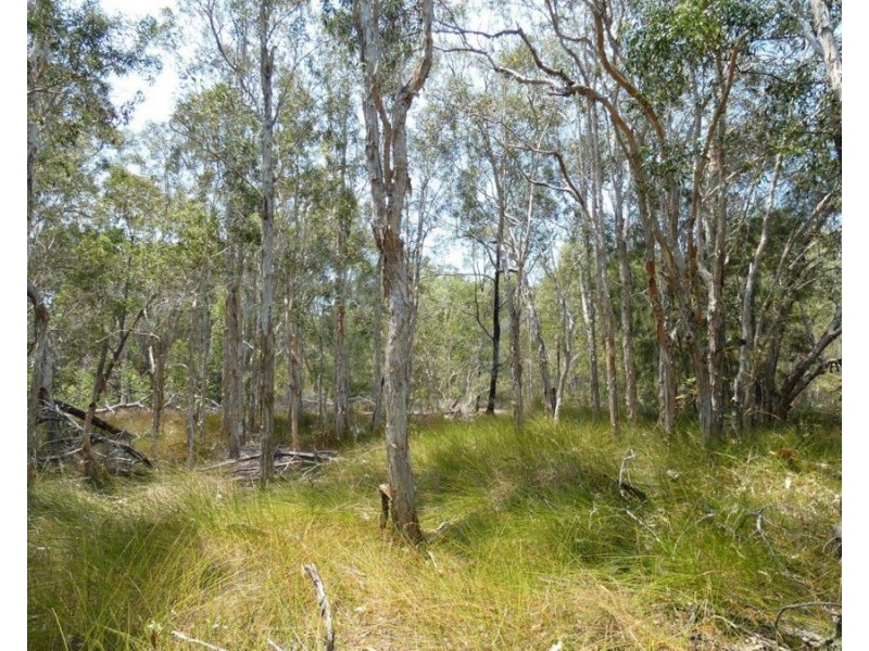 614 Fingerfield Road, Deepwater QLD 4674