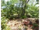 2140 Tableland Road, Mount Maria QLD 4674
