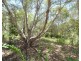 2140 Tableland Road, Mount Maria QLD 4674
