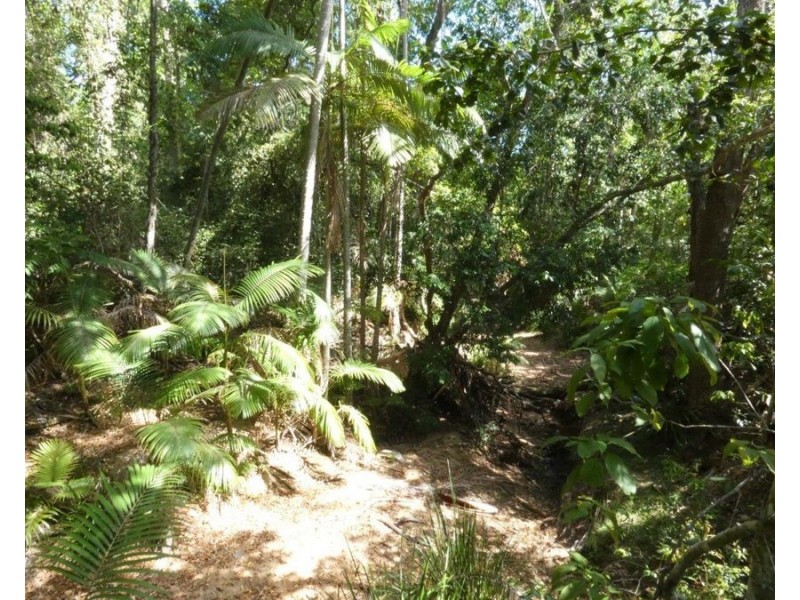 240 Ballantyne Road, Captain Creek QLD 4677