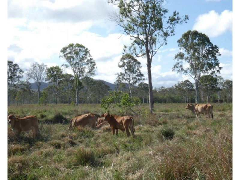 240 Ballantyne Road, Captain Creek QLD 4677