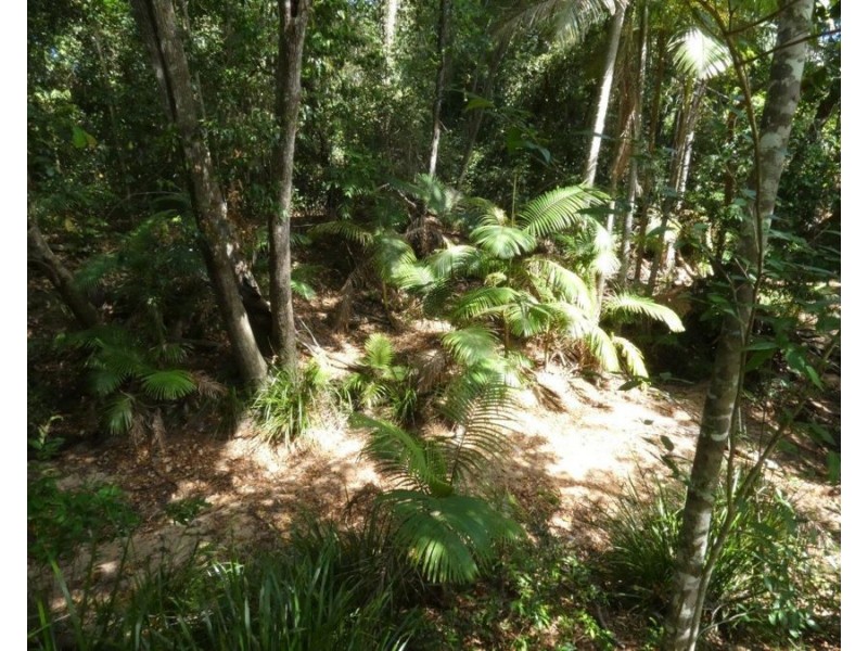 240 Ballantyne Road, Captain Creek QLD 4677