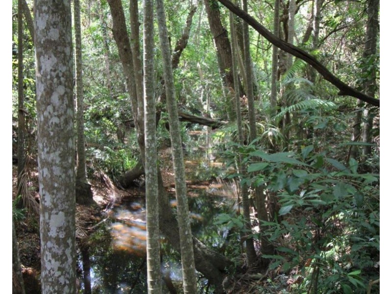 240 Ballantyne Road, Captain Creek QLD 4677