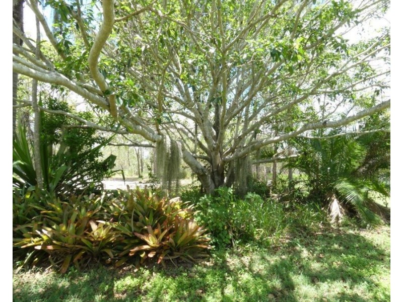 214 Mitchell Road, Mount Maria QLD 4674