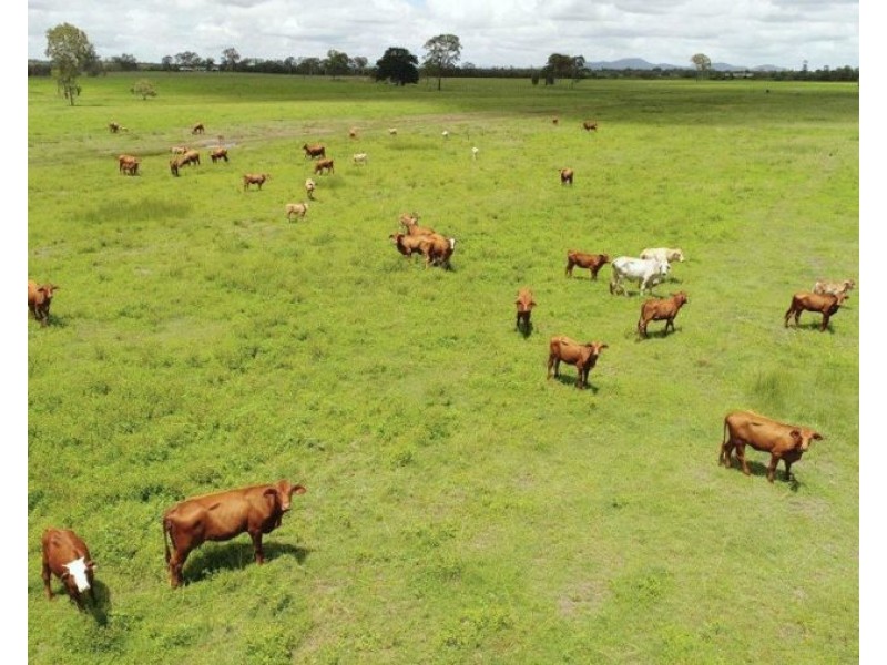 108 Kenree Road, Rosedale QLD 4674