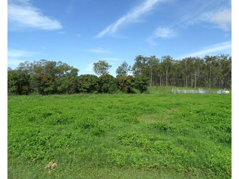 92 Tindels Road, Waterloo QLD 4673