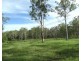 92 Tindels Road, Waterloo QLD 4673