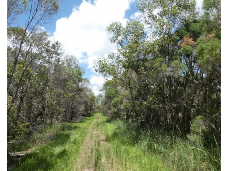84 Newtons Road, Rosedale QLD 4674
