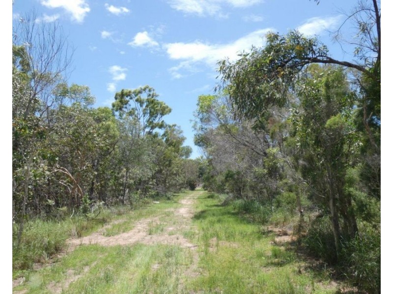 84 Newtons Road, Rosedale QLD 4674