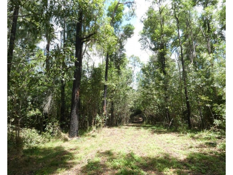 1548 Tableland Road, Mount Maria QLD 4674