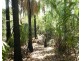1548 Tableland Road, Mount Maria QLD 4674