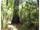 1548 Tableland Road, Mount Maria QLD 4674