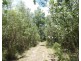 1548 Tableland Road, Mount Maria QLD 4674