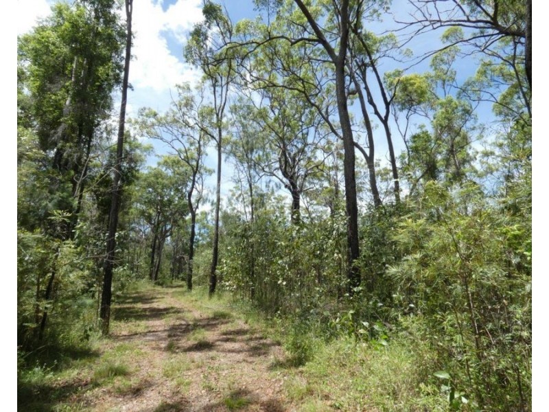 1548 Tableland Road, Mount Maria QLD 4674